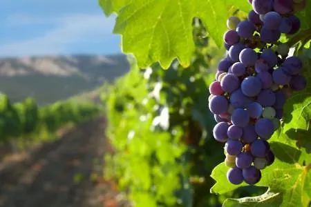 Lumago Apartamento Kaštela