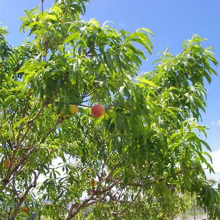 Lumago Apartmán Kaštela